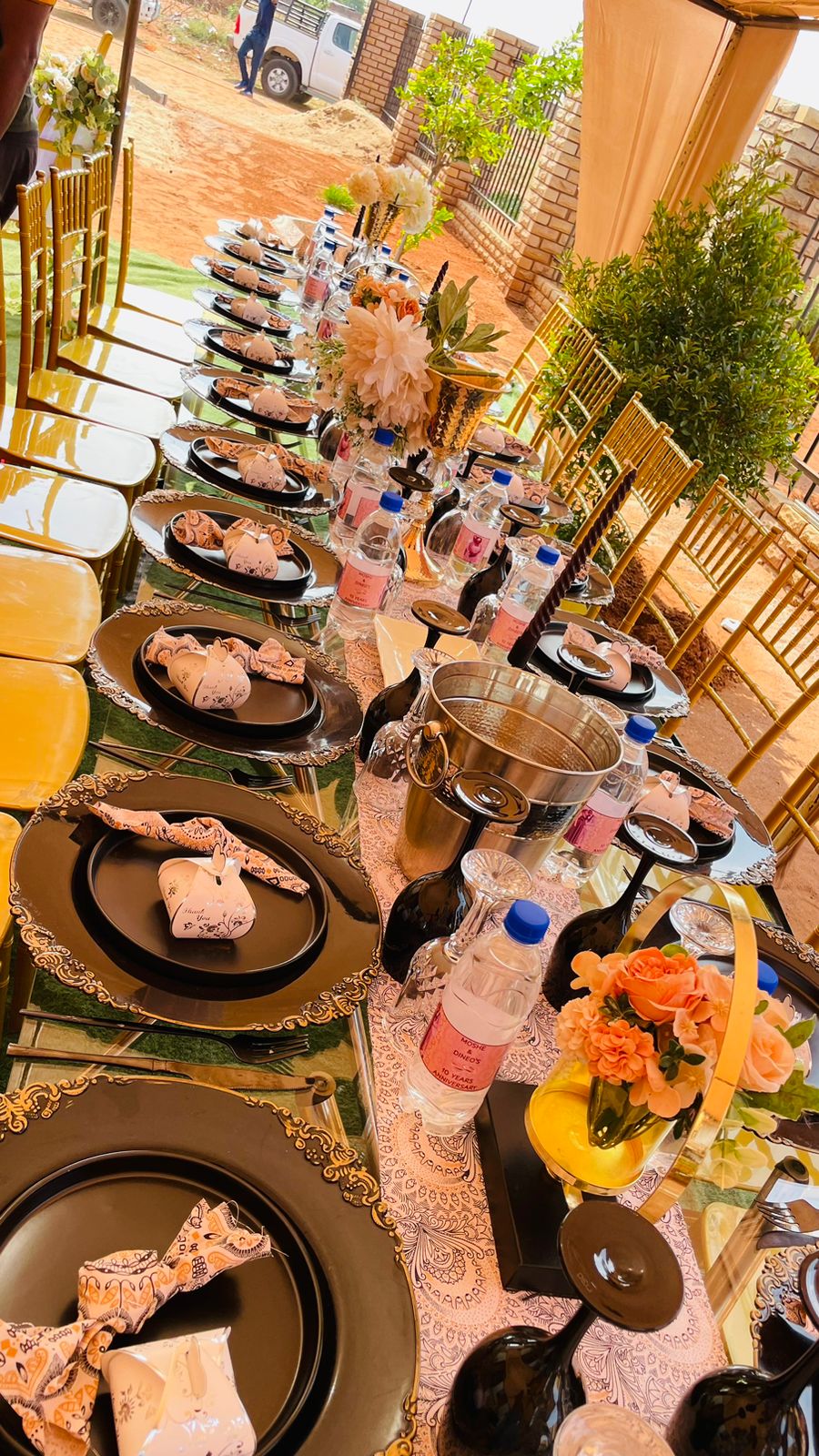 Party Backdrop & Decor